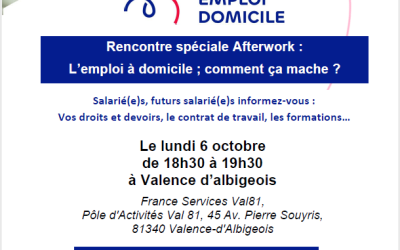 Affiche France Emploi Domicile